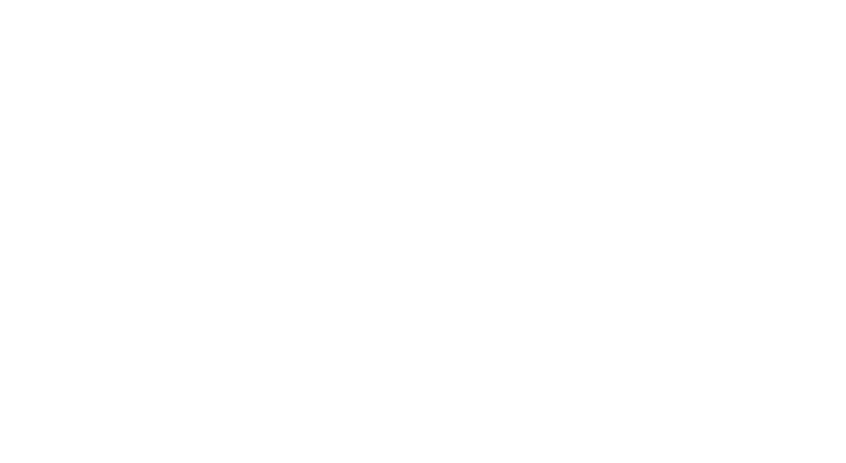 TECHNIK FOOT